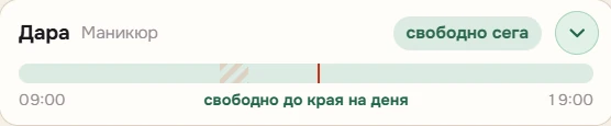 Колегата Дара, маникюр: свободна до края на деня, лента на деня от 09:00 до 19:00